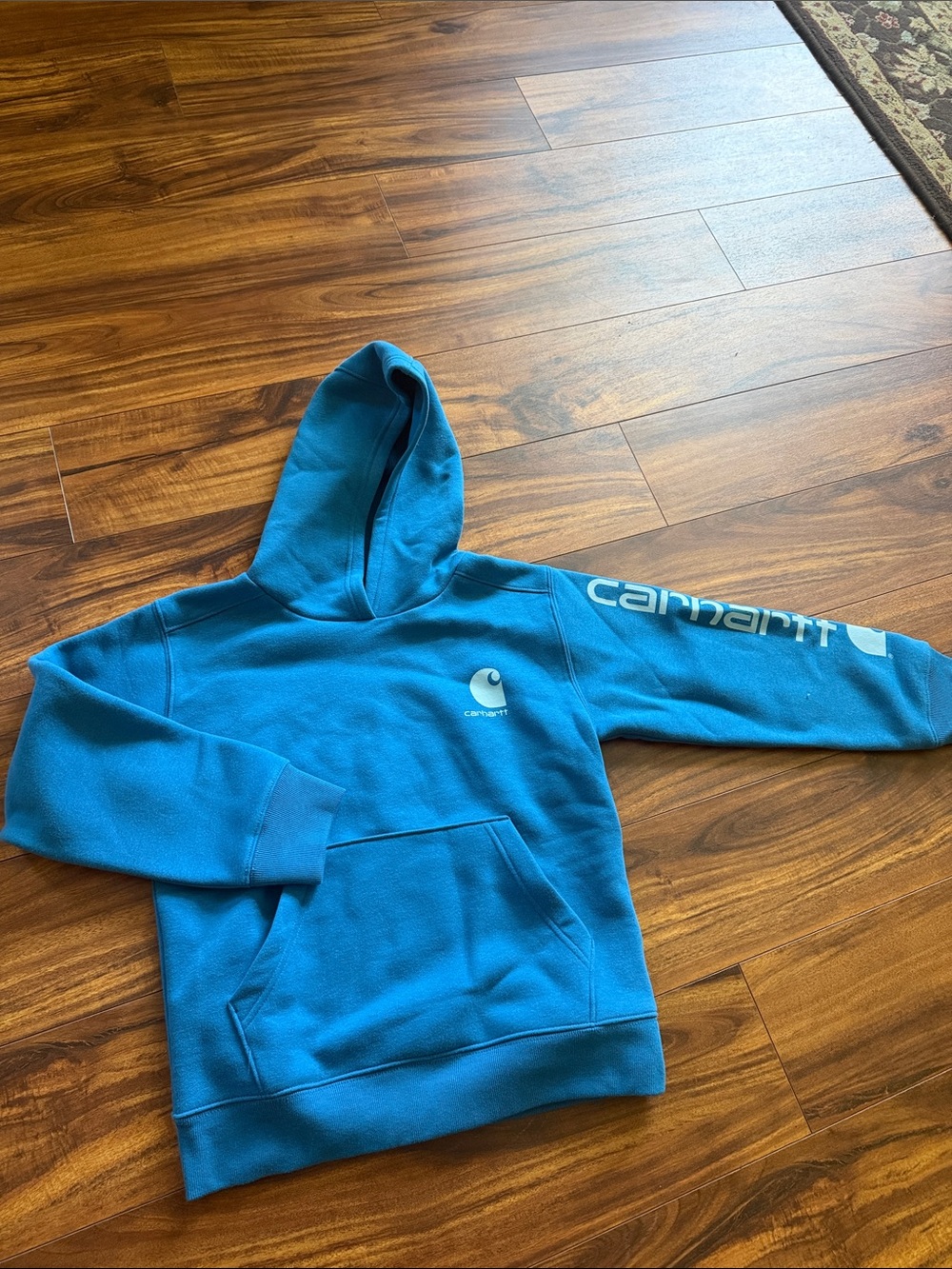 Carhartt boys Blue Logo Pullover Hoodie